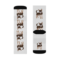 Chihuahua Sublimation Socks, Polyester & Spandex, 3 Sizes, FREE Shipping, Made in the USA!!