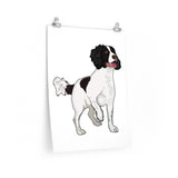 English Springer Spaniel Premium Matte vertical posters, 7 Sizes, Customizable, Made in the USA!!