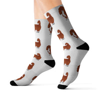 Ruby Cavalier King Charles Spaniel Sublimation Socks, 3 Sizes, Polyester/Spandex, FREE Shipping, Made in USA!!