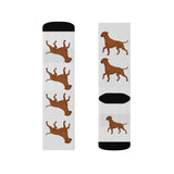 Rhodesian Ridgeback Sublimation Socks, 3 Sizes, Polyester/Spandex, Cushioned Bottoms, FREE Shipping, Made in USA!!