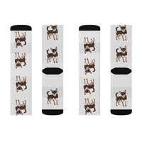 Chihuahua Sublimation Socks, Polyester & Spandex, 3 Sizes, FREE Shipping, Made in the USA!!