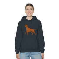 Rhodesian Ridgeback Unisex Heavy Blend™ Hooded Sweatshirt, S - 5XL, 12 Colors, Cotton/Polyester, FREE Shipping, Made in USA!!