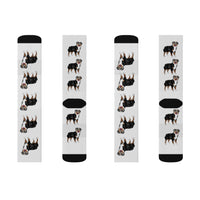 Australian Shepherd Sublimation Socks, 3 Sizes, 60% Polyester, Ribbed Tube, Cushioned Bottoms, FREE Shipping, Made in USA!!