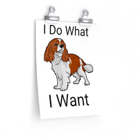 Cavalier King Charles Spaniel Premium Matte vertical posters, 7 Sizes, Customizable, FREE Shipping, Made in USA!!