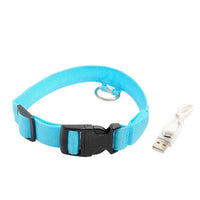 LED Dog Collar, USB Charging,  Anti-Lost/Avoid Car Accident Collar For Dogs, Puppies, LED Supplies, Pet Products