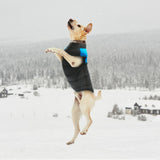 Clothes for Large Dogs Waterproof Dog Vest Jacket Winter Nylon Dogs Clothing for Dogs Chihuahua Labrador Blue Pink