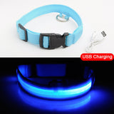 LED Dog Collar, USB Charging,  Anti-Lost/Avoid Car Accident Collar For Dogs, Puppies, LED Supplies, Pet Products