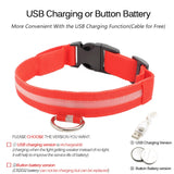 LED Dog Collar, USB Charging,  Anti-Lost/Avoid Car Accident Collar For Dogs, Puppies, LED Supplies, Pet Products