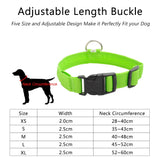 LED Dog Collar, USB Charging,  Anti-Lost/Avoid Car Accident Collar For Dogs, Puppies, LED Supplies, Pet Products