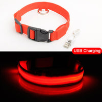 LED Dog Collar, USB Charging,  Anti-Lost/Avoid Car Accident Collar For Dogs, Puppies, LED Supplies, Pet Products