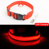 LED Dog Collar, USB Charging,  Anti-Lost/Avoid Car Accident Collar For Dogs, Puppies, LED Supplies, Pet Products