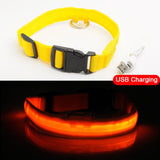 LED Dog Collar, USB Charging,  Anti-Lost/Avoid Car Accident Collar For Dogs, Puppies, LED Supplies, Pet Products