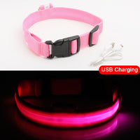 LED Dog Collar, USB Charging,  Anti-Lost/Avoid Car Accident Collar For Dogs, Puppies, LED Supplies, Pet Products