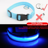 LED Dog Collar, USB Charging,  Anti-Lost/Avoid Car Accident Collar For Dogs, Puppies, LED Supplies, Pet Products