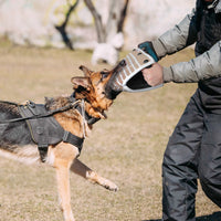 Dog Training Agility Equipment, Pet Bite, Tug, Jute, Bite Sleeve For Training Police K9, Young Malinois, German Shepherd, Rottweiler