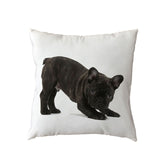 Bad Dogs Cushion Covers French Bulldog Pug Poodle Pillow Cover 45*45cm Polyester Peach Skin Pillowcase Home Sofa Chair Decorate