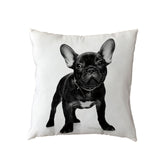 Bad Dogs Cushion Covers French Bulldog Pug Poodle Pillow Cover 45*45cm Polyester Peach Skin Pillowcase Home Sofa Chair Decorate